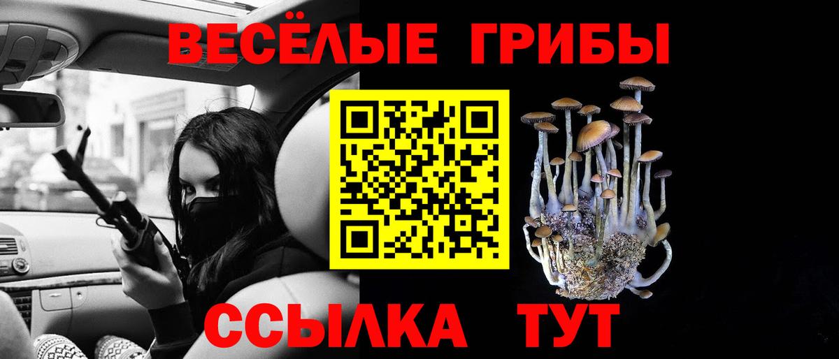 Галлюциногенные грибы Psilocybine cubensis  Псилоцибиновые грибы MAGIC MUSHROOMS  Вход с VPN  Ирбит 